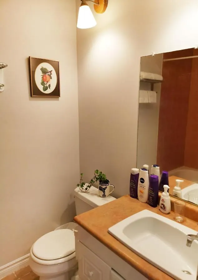 Cozy Private Rm Heart Of North York Free Parking Full Kitchen Close To Downtown Apartment Toronto